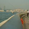 021_wanchai_fishing