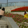 097_pudong_century_park