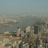 104_pudong_yangpu_bridge