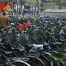 217_nanjing_zhongshan_bikes