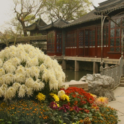 159_suzhou_humble_lake