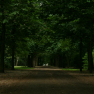 021_tiergarten