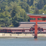 Miyajima Itsukushima shrine