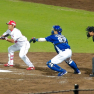 Hiroshima carp bunt