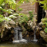 Nara Isuien waterfall