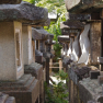 Nara Kasuga lanterns