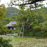 Kyoto Ryoanji pond