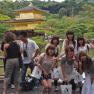 Kyoto Kinkakuji fans