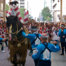 Kumamoto festival horse