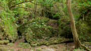 01-016-okinawa_caves