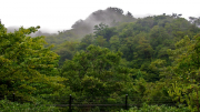 02-012-yakushima_shiratani_view