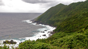 02-016-yakushima_yoshida