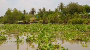 028 - Mekong Delta - Cai Be