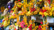 080 - Saigon - Flower Market