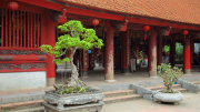 161 - Hanoi - Temple of Literature