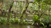 Guangfu - Wetland