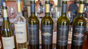 Mendoza - Piattelli Vineyards