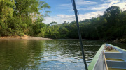 Rio Arajuno, Napo