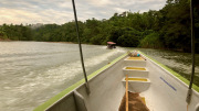 Rio Arajuno, Napo