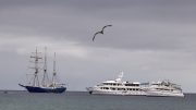 Punta Cormorant, Floreana Island