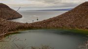 Tagus Bay, Isabela Island