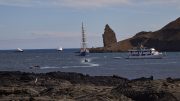 Sullivan Bay, Santiago Island