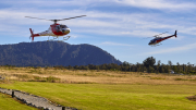 Franz Josef, West Coast