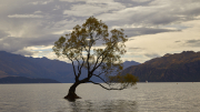 Wanaka Town, Otago