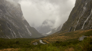 Cleddau Valley, Fiordland