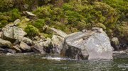 Milford Sound, Fiordland