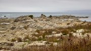 Kaikoura, Canterbury