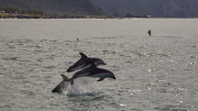 Kaikoura, Canterbury