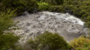 Rotorua, Bay of Plenty