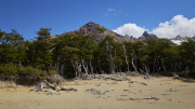 Sendero al Fitz Roy, Argentina