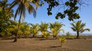 Tortuguero