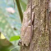 Manuel Antonio, National Park