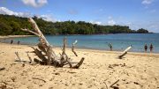 Manuel Antonio, National Park