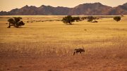 Sossusvlei Lodge