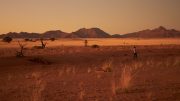 Namib Desert