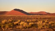 Namib Desert