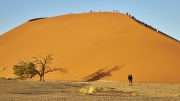 Namib Desert