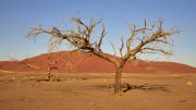 Namib Desert