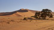 Namib Desert