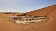 Namib Desert