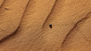 Namib Desert