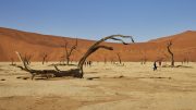 Namib Desert