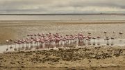 Walvis Bay