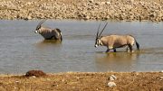 Etosha National Park