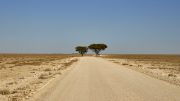 Etosha National Park