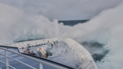 MS Hanseatic - South Georgia > Elephant Island